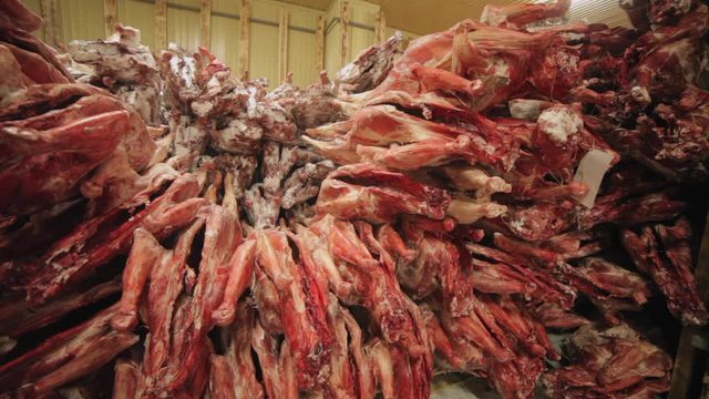Carcasses of deers in row in meat factory 3