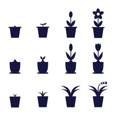 pot flowers icons showing levels of their growth and development