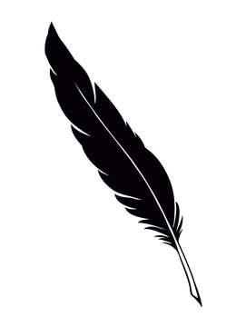 recommend clip art: Vector drawing dark bird feather
