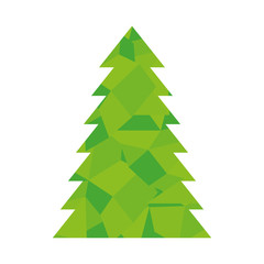 pine tall tree plant traditional christmas decorative symbol vector illustration