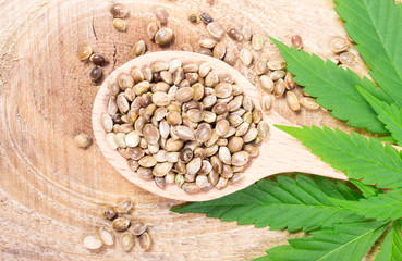 Cannabis leaf and seeds on wooden table. Close Up.