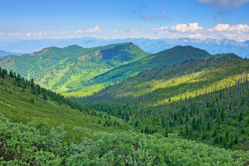 Fototapeta premium Mountains covered with the wood with sunlight spots.