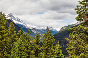 Kootenay National Park, British Columbia, Cahada. Kootenay exhibits a wide range of magnificent mountain vistas. 