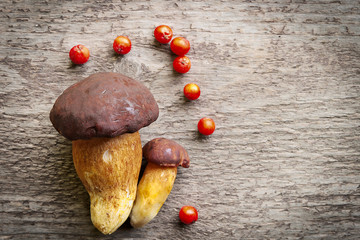 Top view of two pine bolete (Boletus pinophilus) mushrooms decorated with red rowan berry fruits. Still life photo.