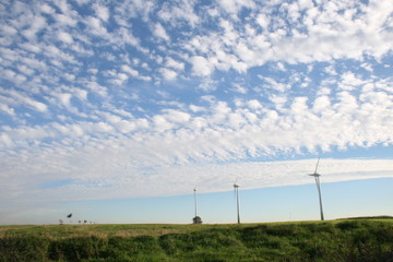 Fototapeta na wymiar Windparkanlage auf einer Wiese 