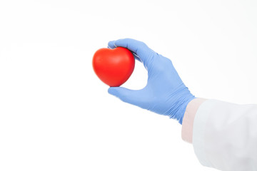 Studio shot of a doctor hand in a rubber glove holding heart shaped toy