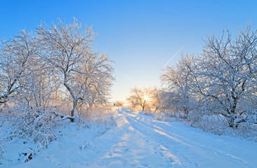 Winter frosty landscape with a footpath on a decline and old app