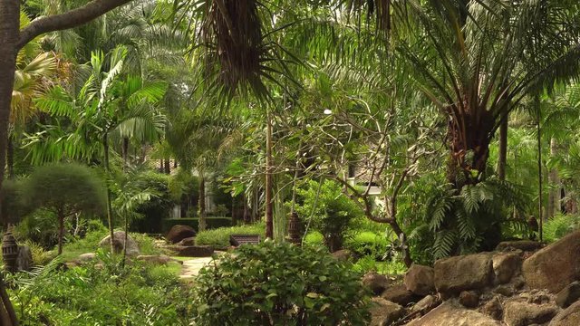 In green solar jungles of southeast Asia. Resort area with palm trees. 4K.