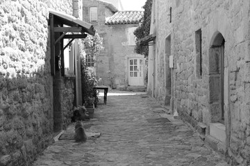 Maisons de Provence - Miramas-le-Vieux