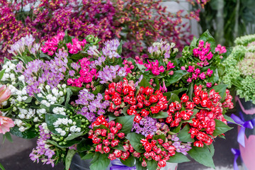Fototapeta na wymiar flower market, bright vivid colorful fresh flowers