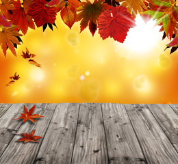 Naklejka na ściany i meble Autumn background with red falling 
