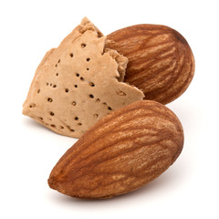 Almond nut in shell and shelled isolated on white background clo