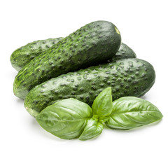 Cucumber vegetable and basil leaves isolated on white background
