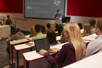 Fototapeta premium Adult student using laptop computer at a university lecture