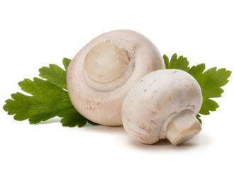 Champignon and parsley herb still life isolated on white backgro