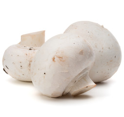 Champignon isolated on white background cutout