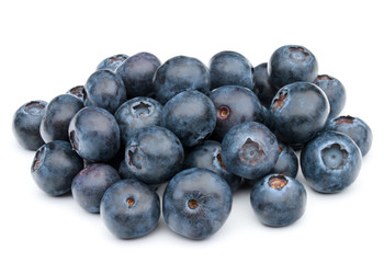 blueberry or bilberry or blackberry or blue whortleberry or huck
