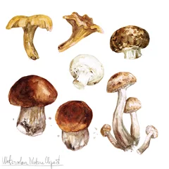 Foto auf Acrylglas Watercolor Nature Clipart - Mushrooms © nataliahubbert