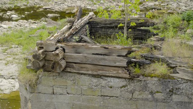 The broken log on the top of the cement with lots of plants and trees on the back