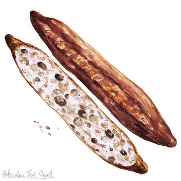 Watercolor Food Clipart - Baguette