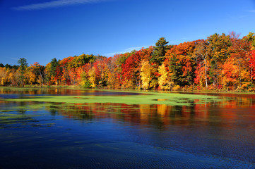autumn colorful trees under morning sunlight reflecting in tranquil river