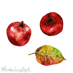 Foto op Canvas Watercolor Nature Clipart - Red Apple © nataliahubbert