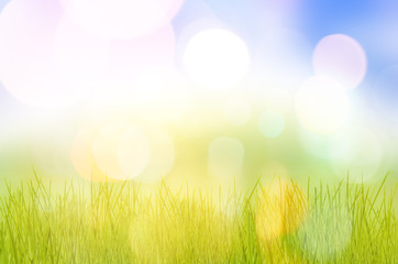 Obraz premium Spring nature background with grass and bokeh lights. Blue sky