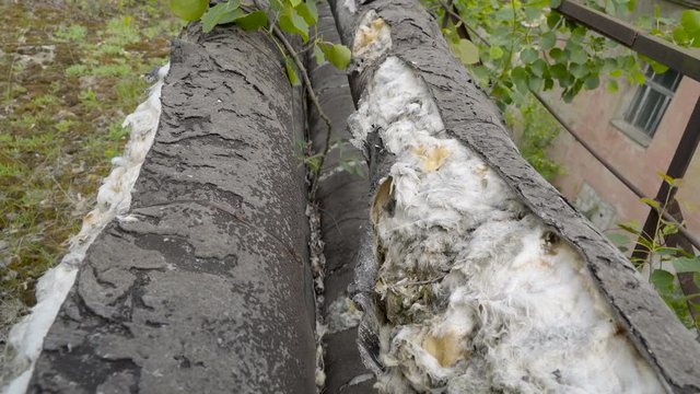 White algaes on the big old pipes the white cotton like algaes found inside the broken big pipes