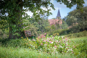 Bank Baum Kirche Kirchturm Glaube Natur