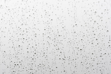 Drops of rain on the window