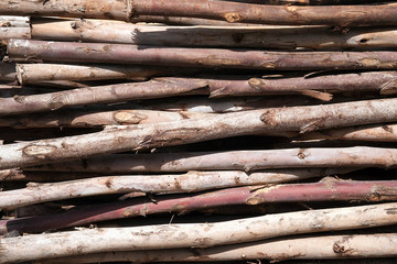 Pile of wood logs Background.
