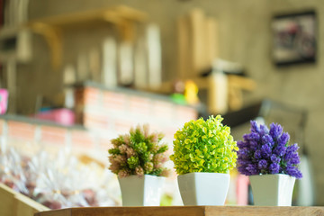 Indoor plant in a bathroom window