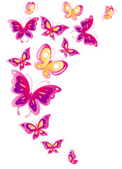 color butterflies,isolated on a white