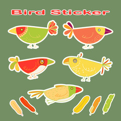 Set of Birds and Feathers