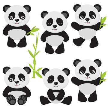 Cute panda vector illustration