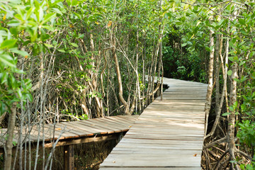 Obraz premium outdoor,nature,park