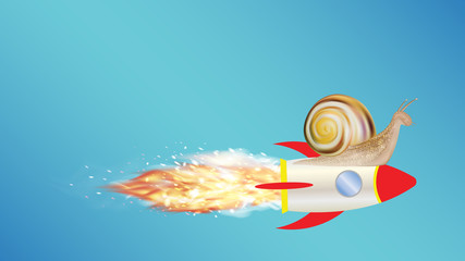 snail on a toy rocket © siiixth