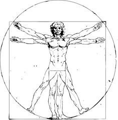 Vitruvian Man Leonardo da Vinci - obrazy, fototapety, plakaty