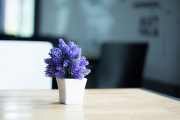 Indoor plant pot on the table