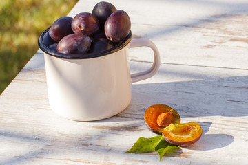 Heap of plums in metallic mug on wooden table in garden on sunny day