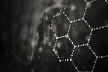 Science Research as a Concept for Presentation