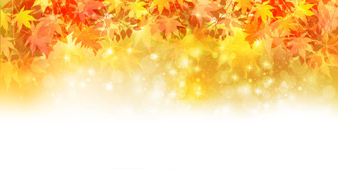 Naklejka premium Jesień liści jesieni krajobrazu tło