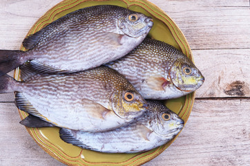 Top view of Rabbit fish in a light green ceramic plate on a wooden table.
