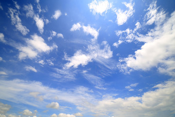 Obraz premium Landscape of a peaceful rice field on clouds and sky background : Thailand 