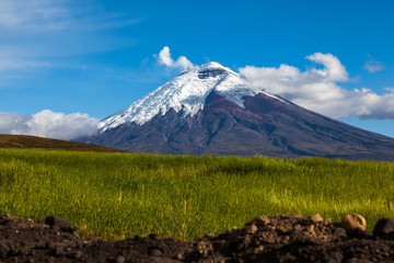 Cultivated fields and Cotopaxi Volcano