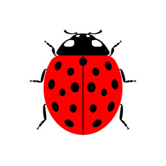 Ladybug small icon. Red lady bug sign, isolated on white background. Wildlife animal design. Cute colorful ladybird. Insect cartoon beetle. Symbol of nature, spring, summer. Vector illustartion