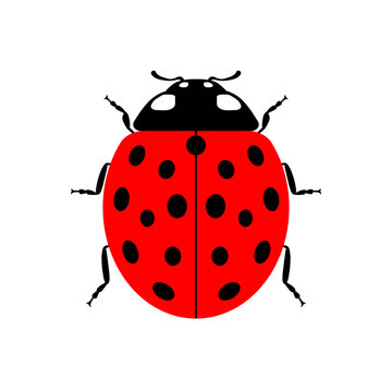 Ladybug small icon. Red lady bug sign, isolated on white background. Wildlife animal design. Cute colorful ladybird. Insect cartoon beetle. Symbol of nature, spring, summer. Vector illustartion