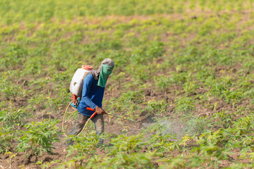 Man farmer to spray herbicides or chemical fertilizers on the fi