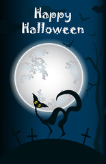 halloween, black cat