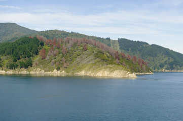 Queen Charlotte Sound, New Zealand